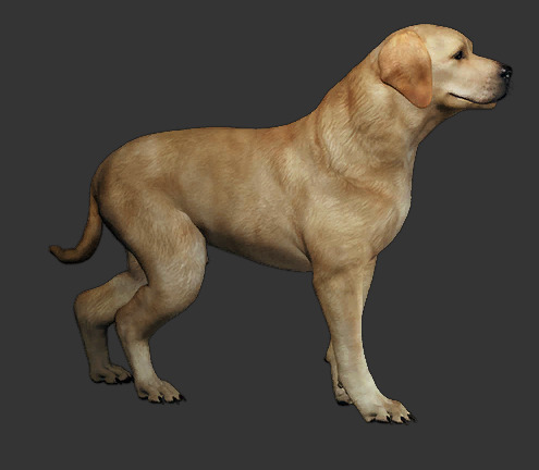 Labrador Dog 3D Model with Armor and Accessories - Free Download Free low-poly 3D model_2