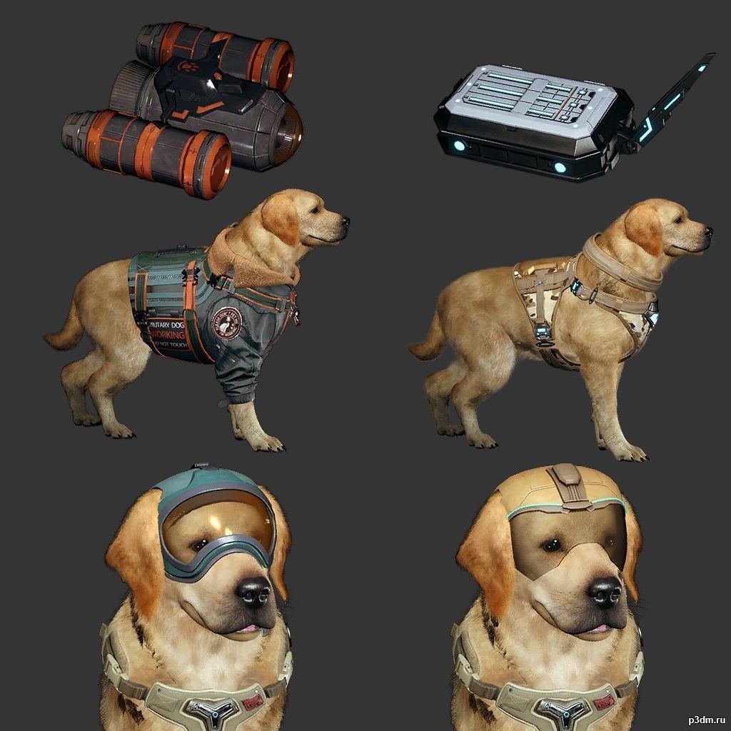 Labrador Dog 3D Model with Armor and Accessories - Free Download Free low-poly 3D model_4