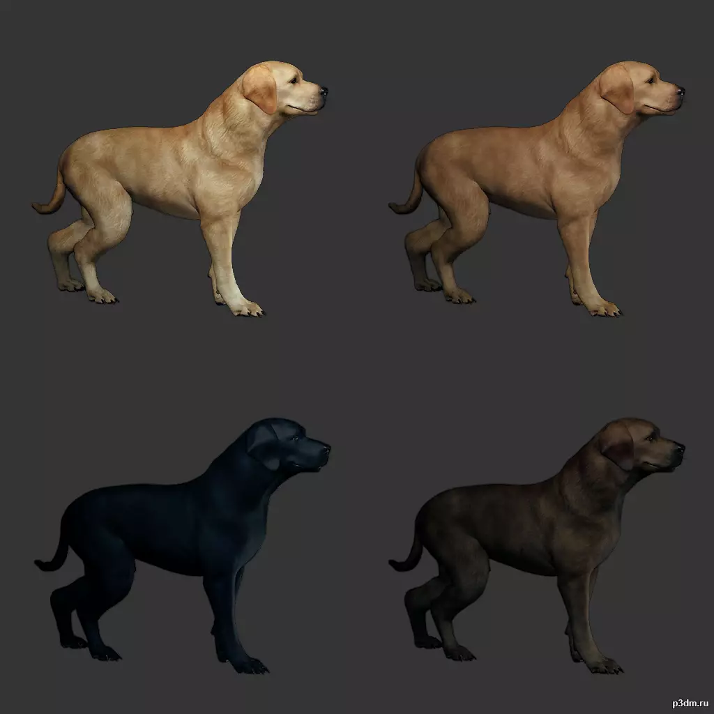 Labrador Dog 3D Model with Armor and Accessories - Free Download Free low-poly 3D model_0