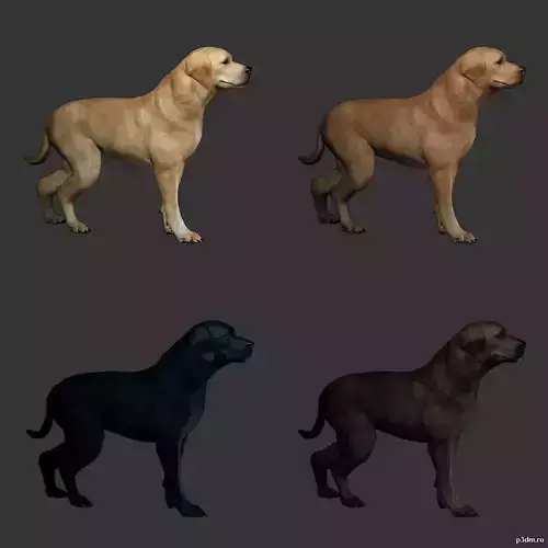 Labrador Dog 3D Model with Armor and Accessories - Free Download Free low-poly 3D model Labrador Dog 3D Model with Armor and Accessories - Free Download Free low-poly 3D model