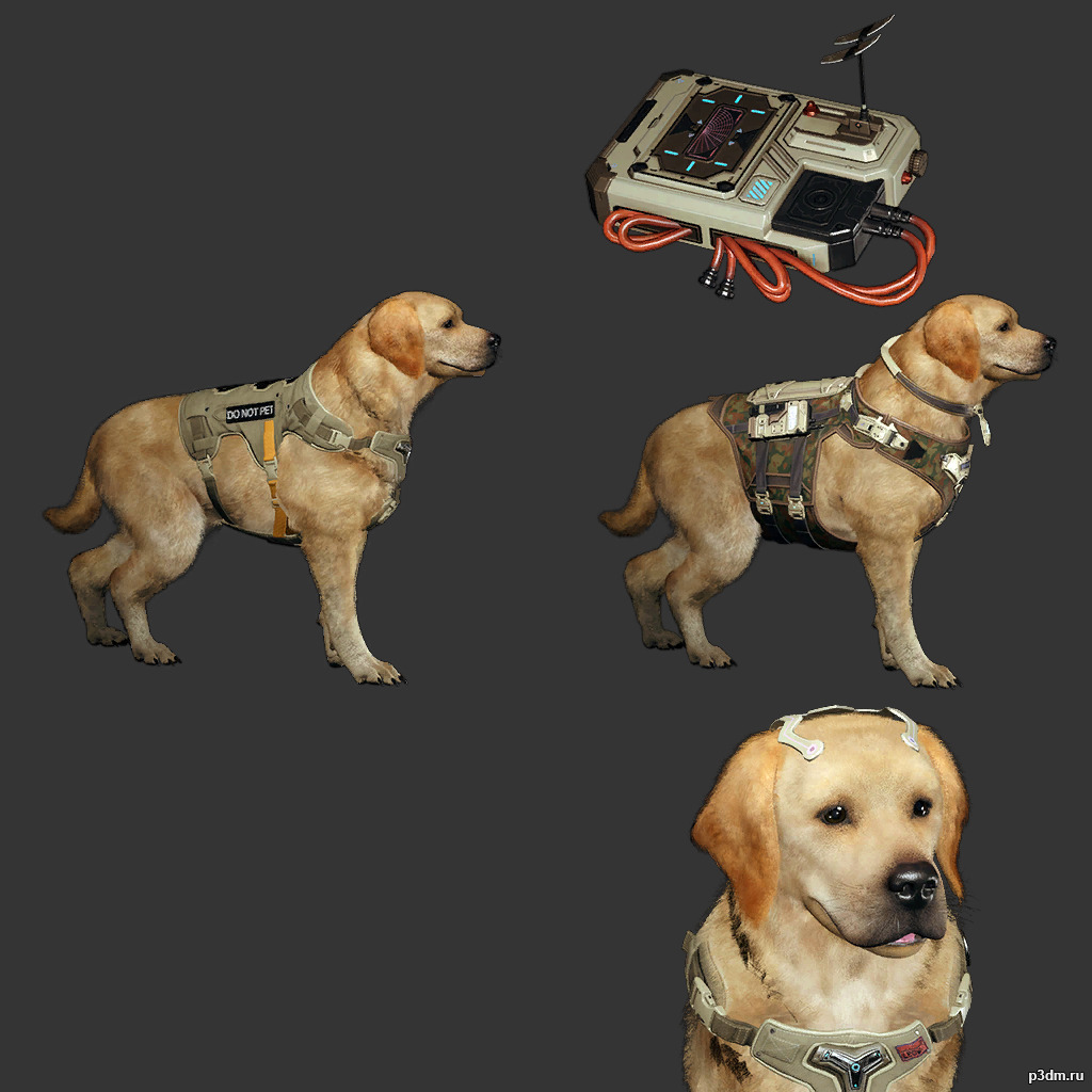 Labrador Dog 3D Model with Armor and Accessories - Free Download Free low-poly 3D model_5