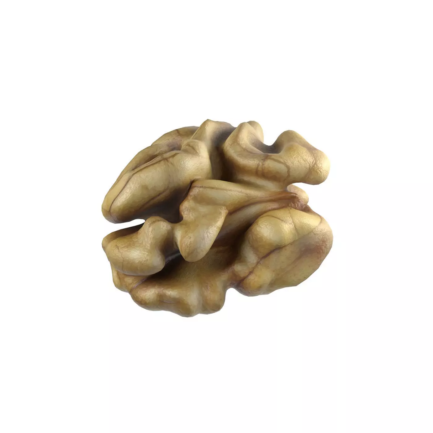 Walnut kernel v1 Free low-poly 3D model