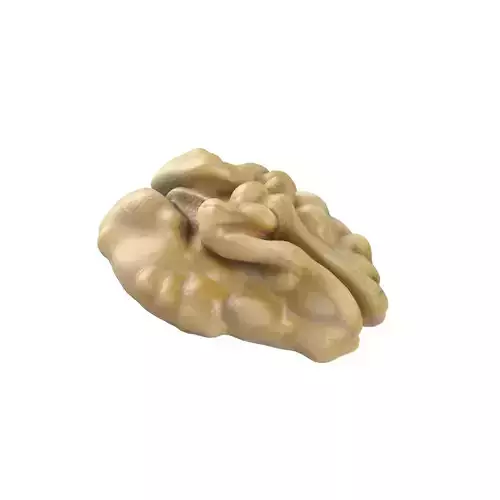 Walnut kernel v2   Low-poly 3D model