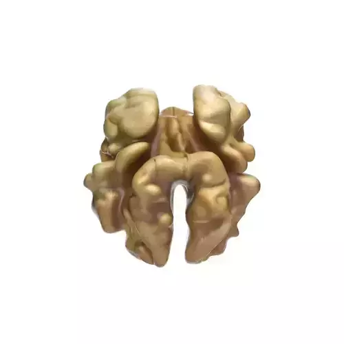 Walnut kernel v3  Low-poly 3D model