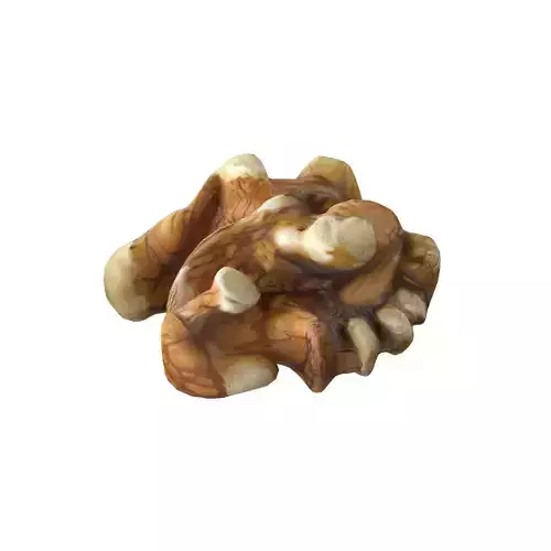 Walnut kernel v4 Low-poly 3D model