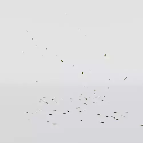 Falling leaf Animation 