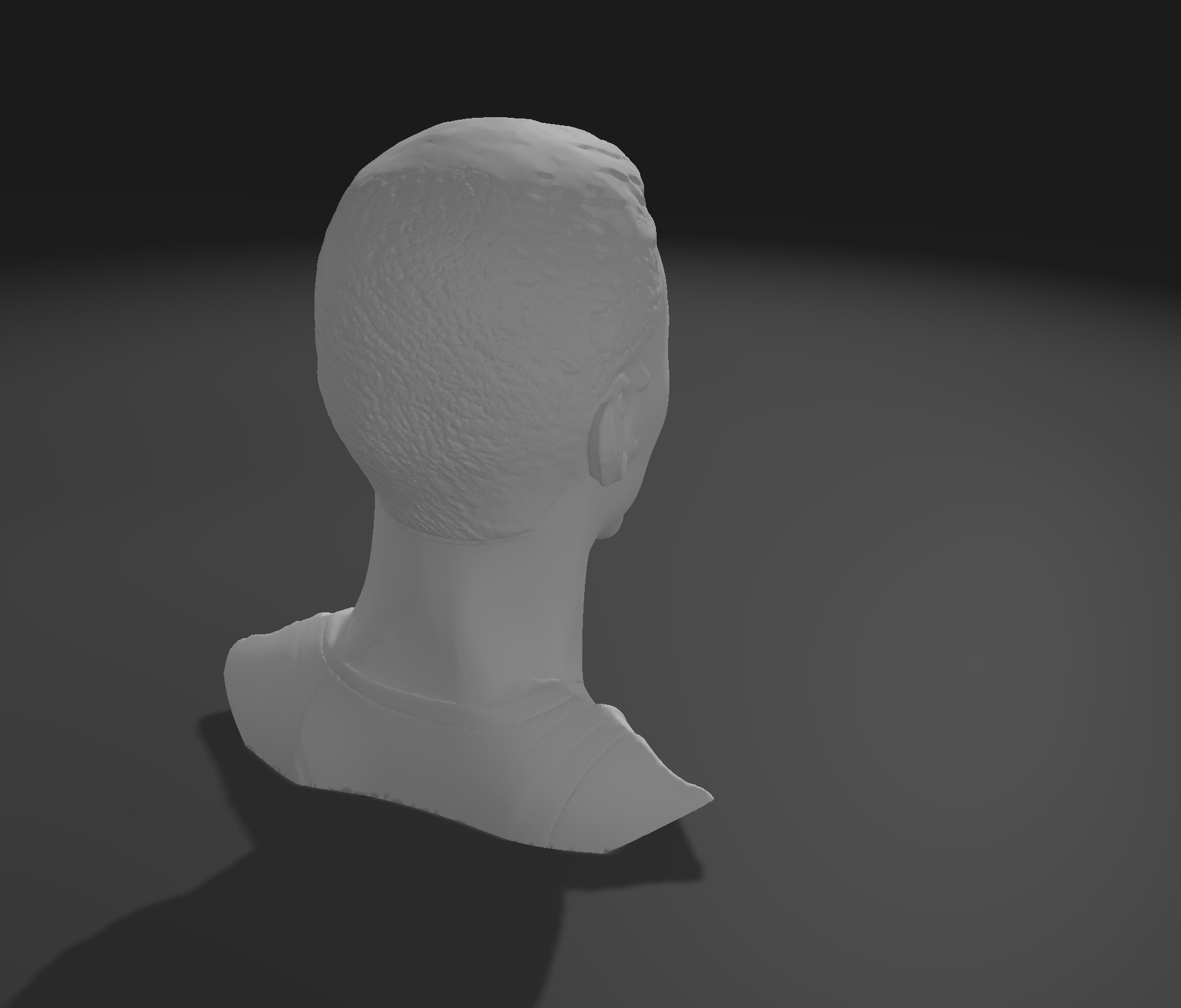 Stephen Curry Bust 2015 3D print model_2