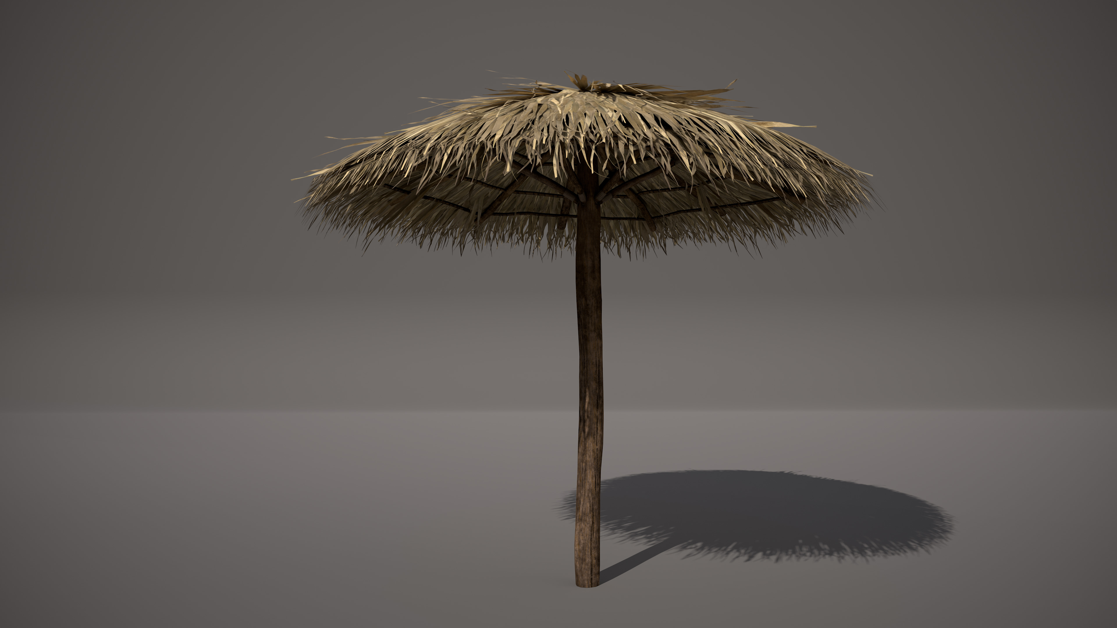 Tropical Thatch Beach Umbrella Low-poly 3D model_2