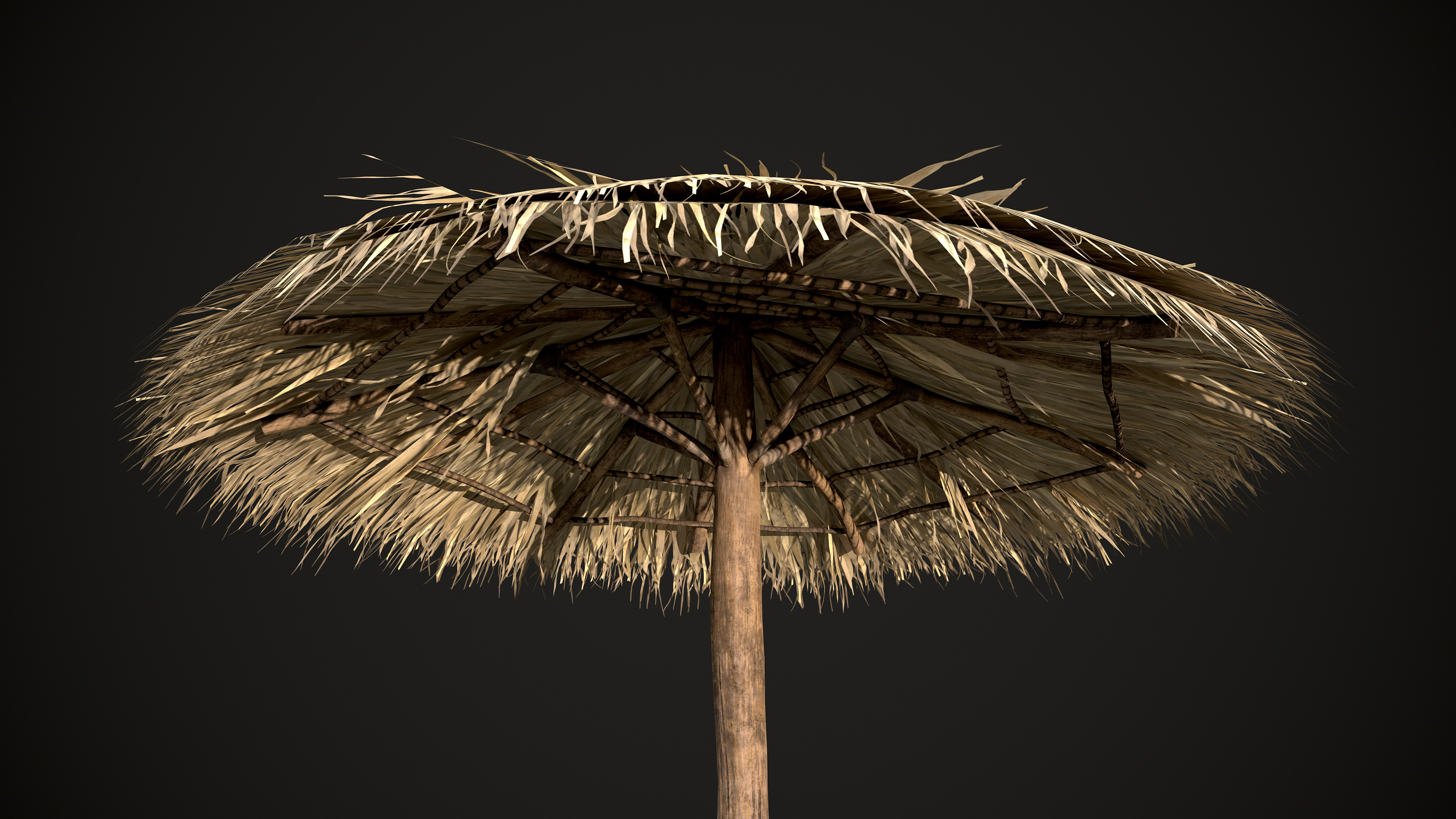 Tropical Thatch Beach Umbrella Low-poly 3D model_6