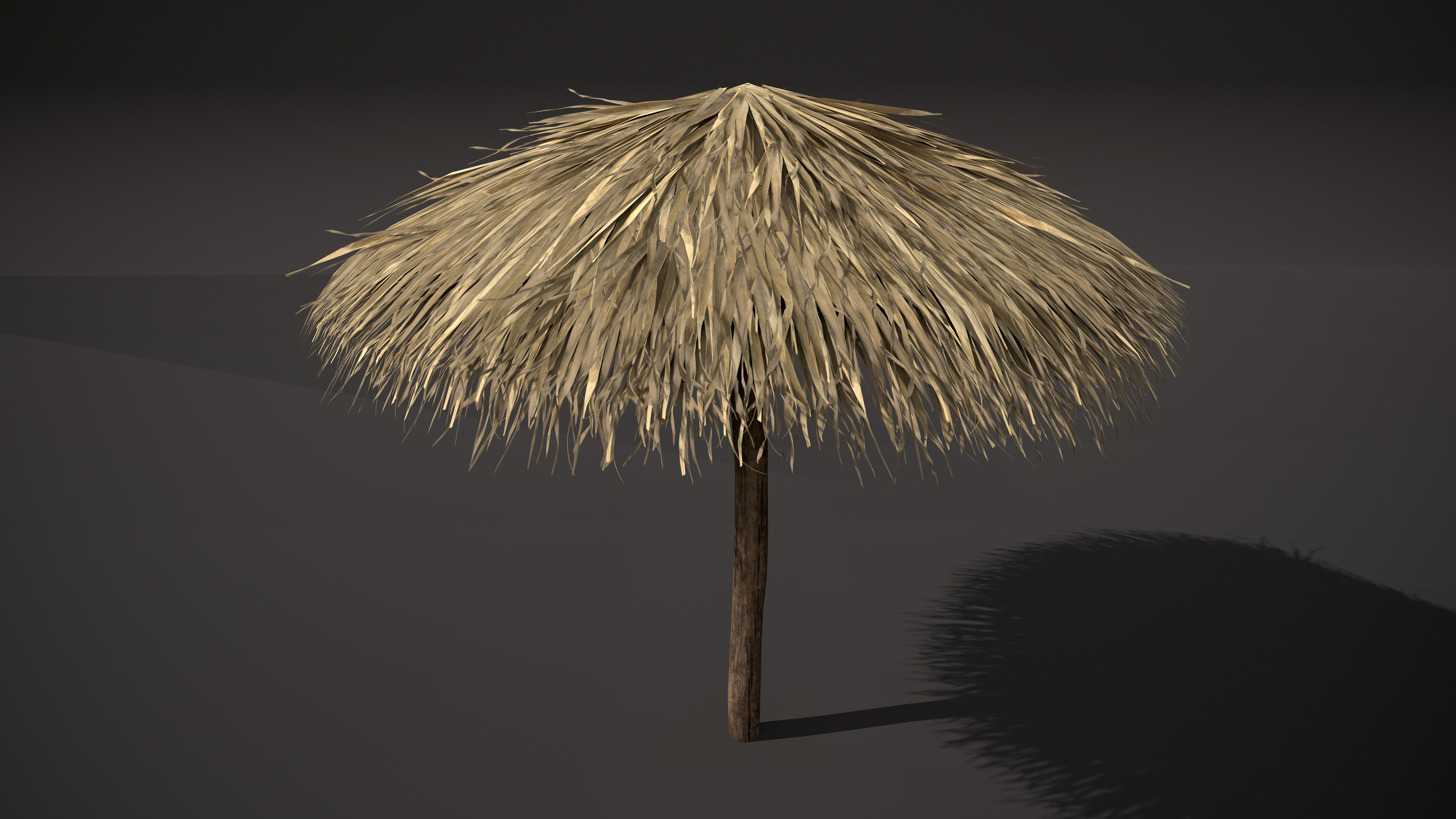 Tropical Thatch Beach Umbrella Low-poly 3D model_3