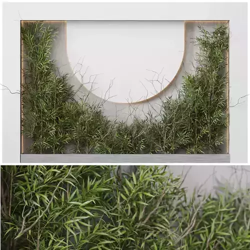 Plant Wall Garden 04