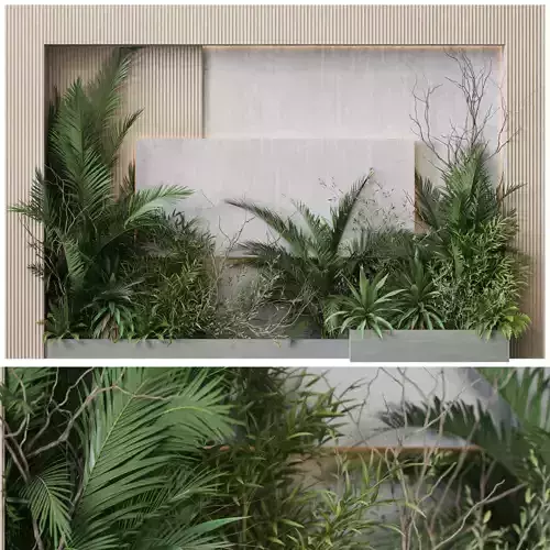 Plant Wall Garden 06