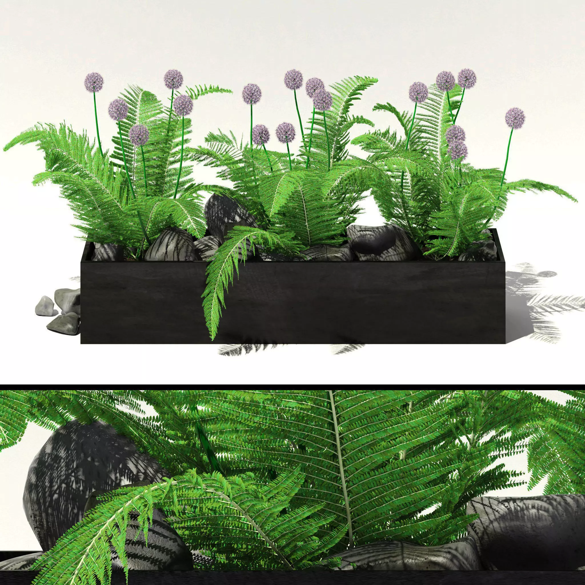 Flowerbed with fern and alliums 3D model
