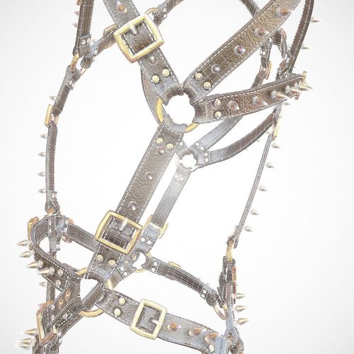 Leather Straps Spiky Body Harness 3D model