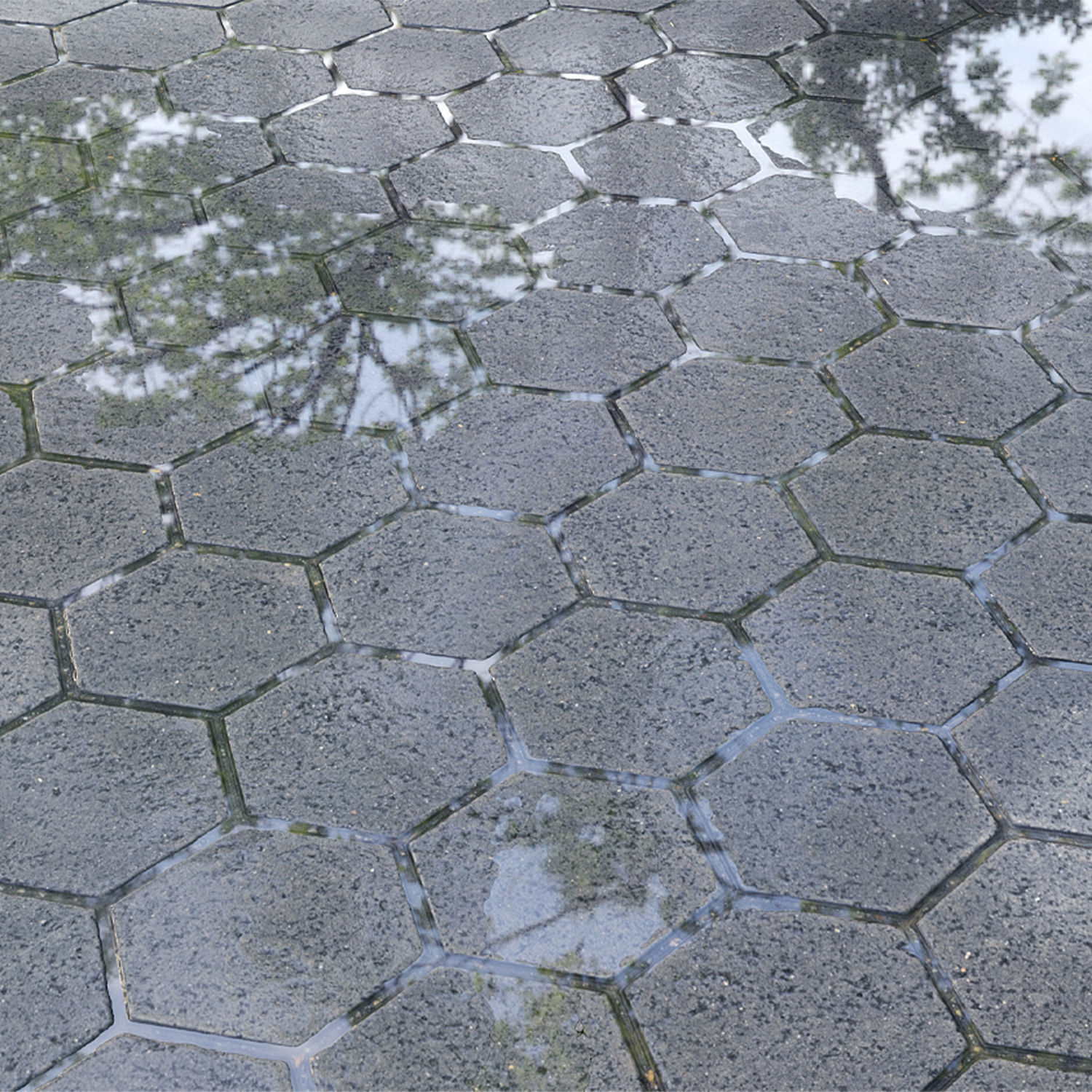 Paving slabs 01 Editable 3D model_1