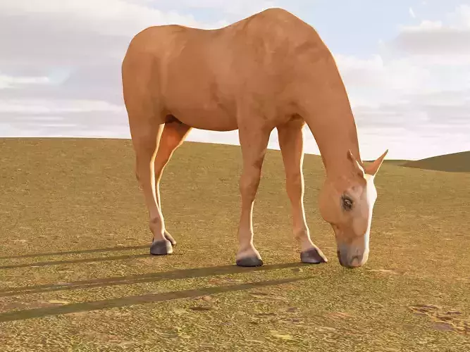 GRAZING HORSE 