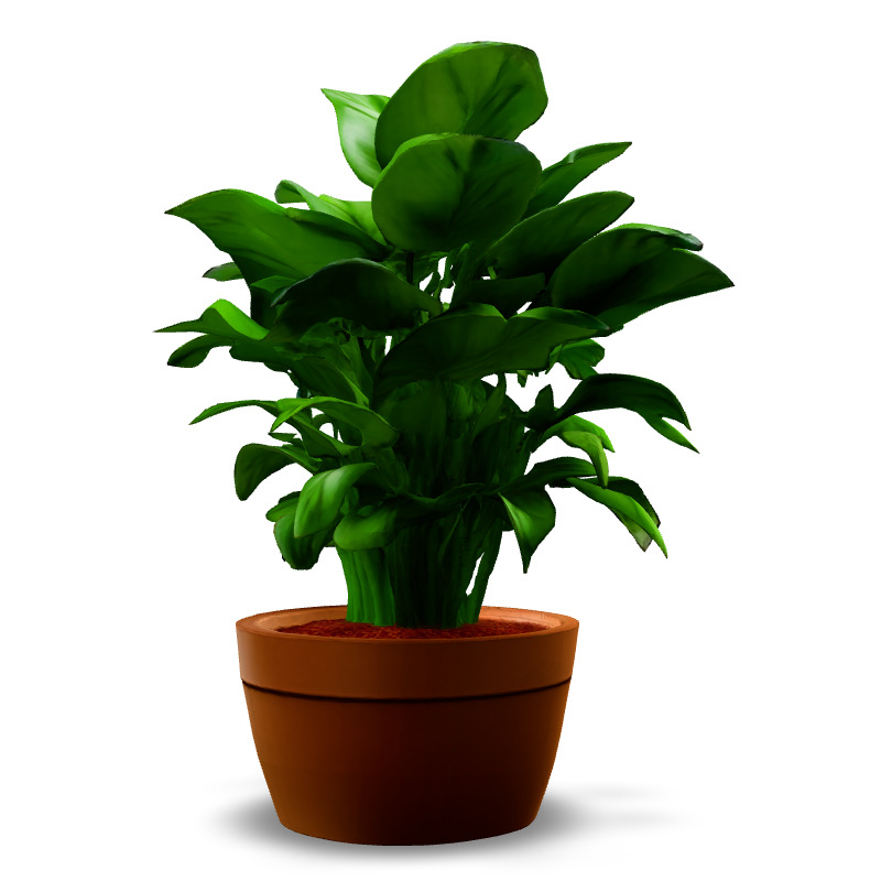 Realistic Potted Plant 3D Model Low-poly 3D model_6