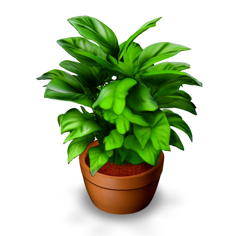 Realistic Potted Plant 3D Model Low-poly 3D model_2