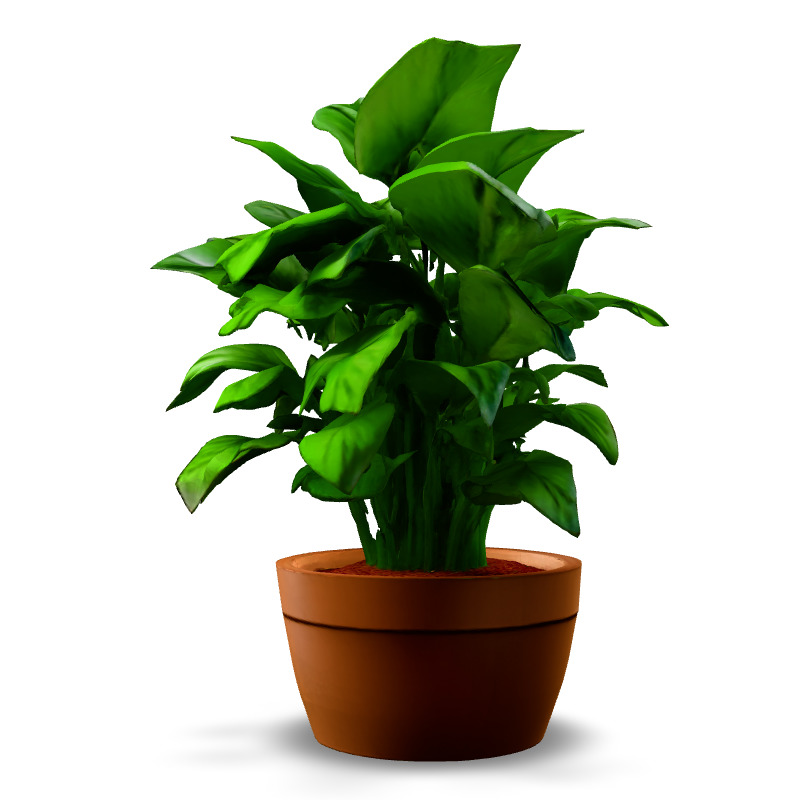 Realistic Potted Plant 3D Model Low-poly 3D model_3