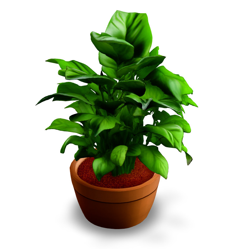 Realistic Potted Plant 3D Model Low-poly 3D model_5