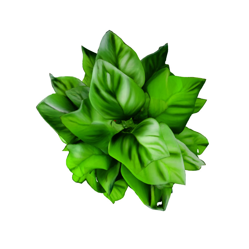 Realistic Potted Plant 3D Model Low-poly 3D model_7
