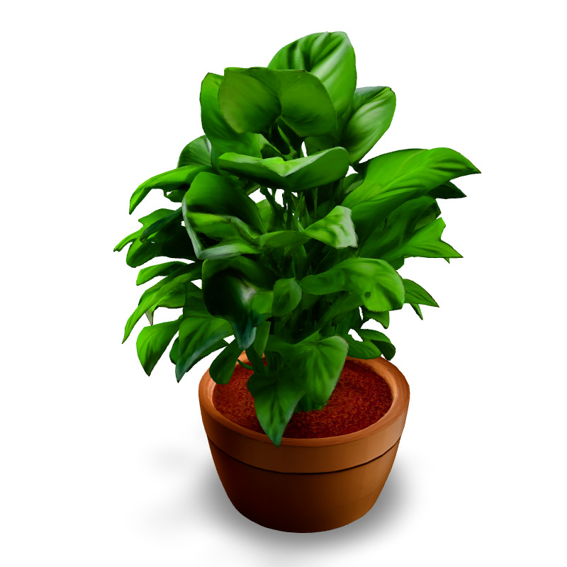 Realistic Potted Plant 3D Model Low-poly 3D model_1