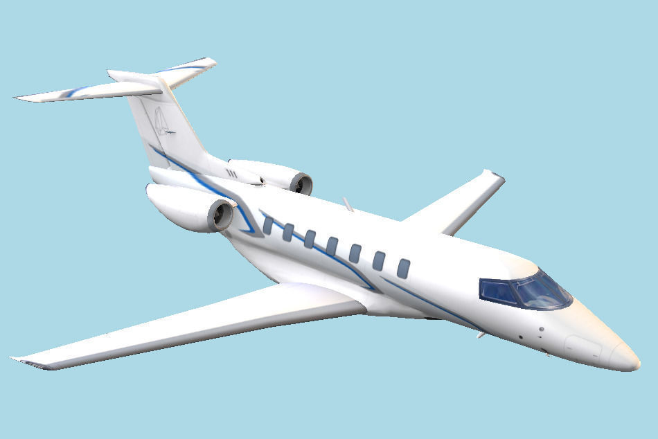 Air plane Free low-poly 3D model_2
