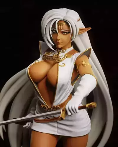 Sweet Valor Sexy Warrior Maiden of Lodoss War