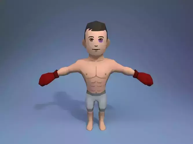 Boxer Fighter