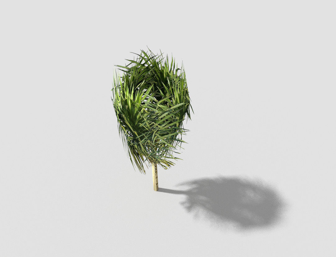 Tree plant on stick Low-poly 3D model_6