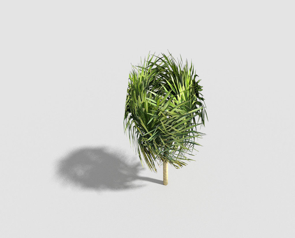 Tree plant on stick Low-poly 3D model_3
