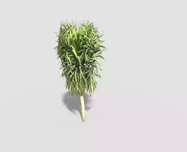 Tree plant on stick Low-poly 3D model