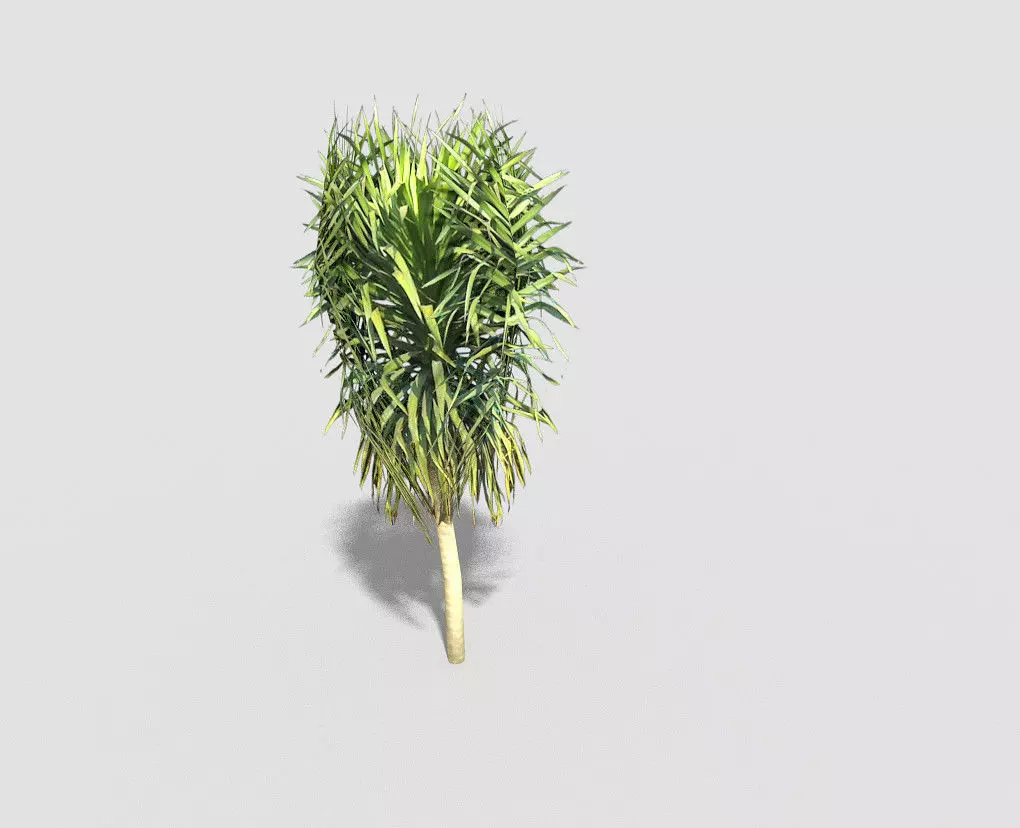 Tree plant on stick Low-poly 3D model_0