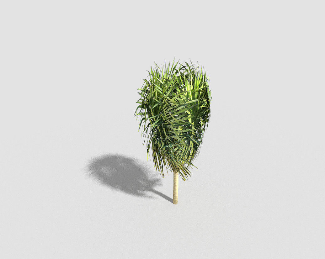 Tree plant on stick Low-poly 3D model_1