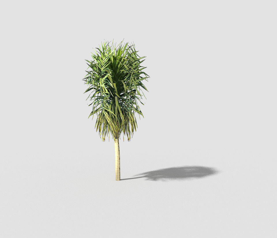 Tree plant on stick Low-poly 3D model_2