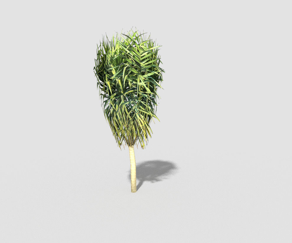 Tree plant on stick Low-poly 3D model_4
