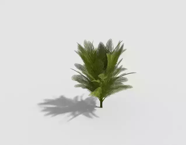 Tree plant