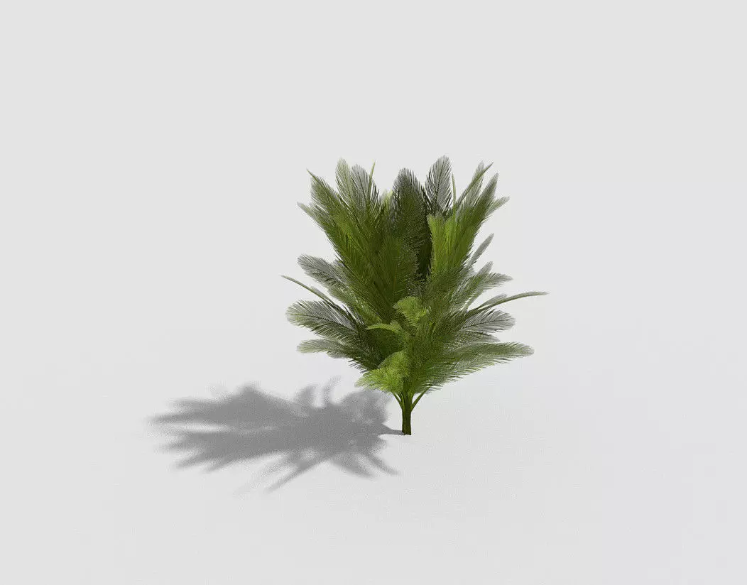 Tree plant Low-poly 3D model_0