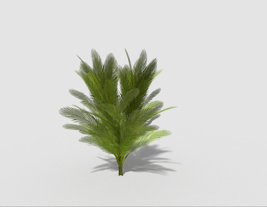 Tree plant Low-poly 3D model_4
