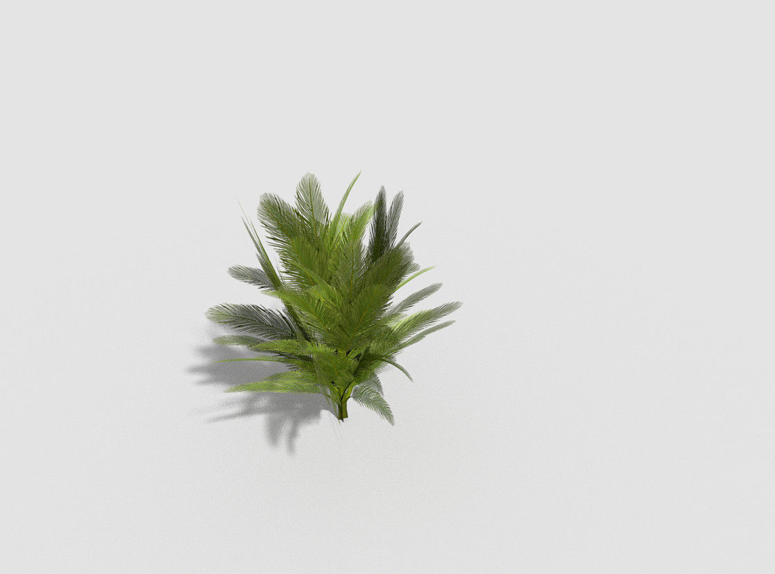 Tree plant Low-poly 3D model_1