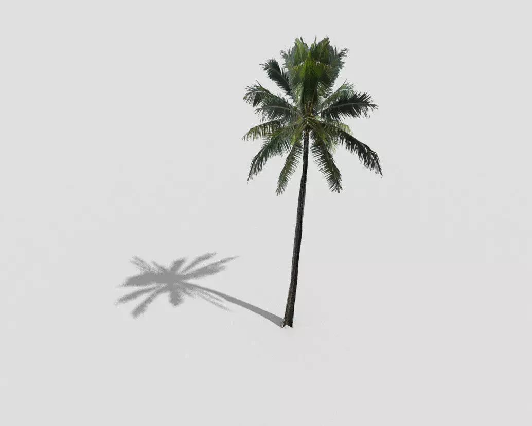 Palm tree Low-poly 3D model_0