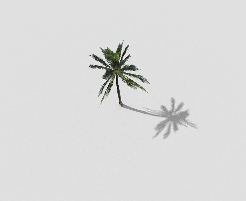 Palm tree Low-poly 3D model_2