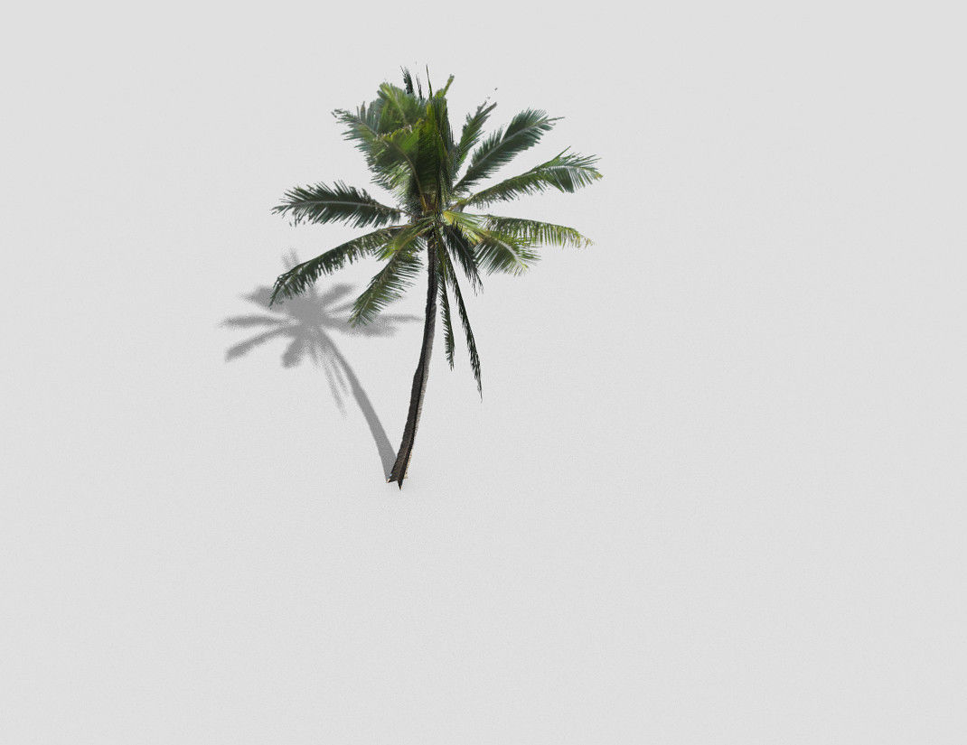 Palm tree Low-poly 3D model_3