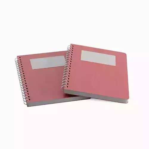 Notebook 02 3D model