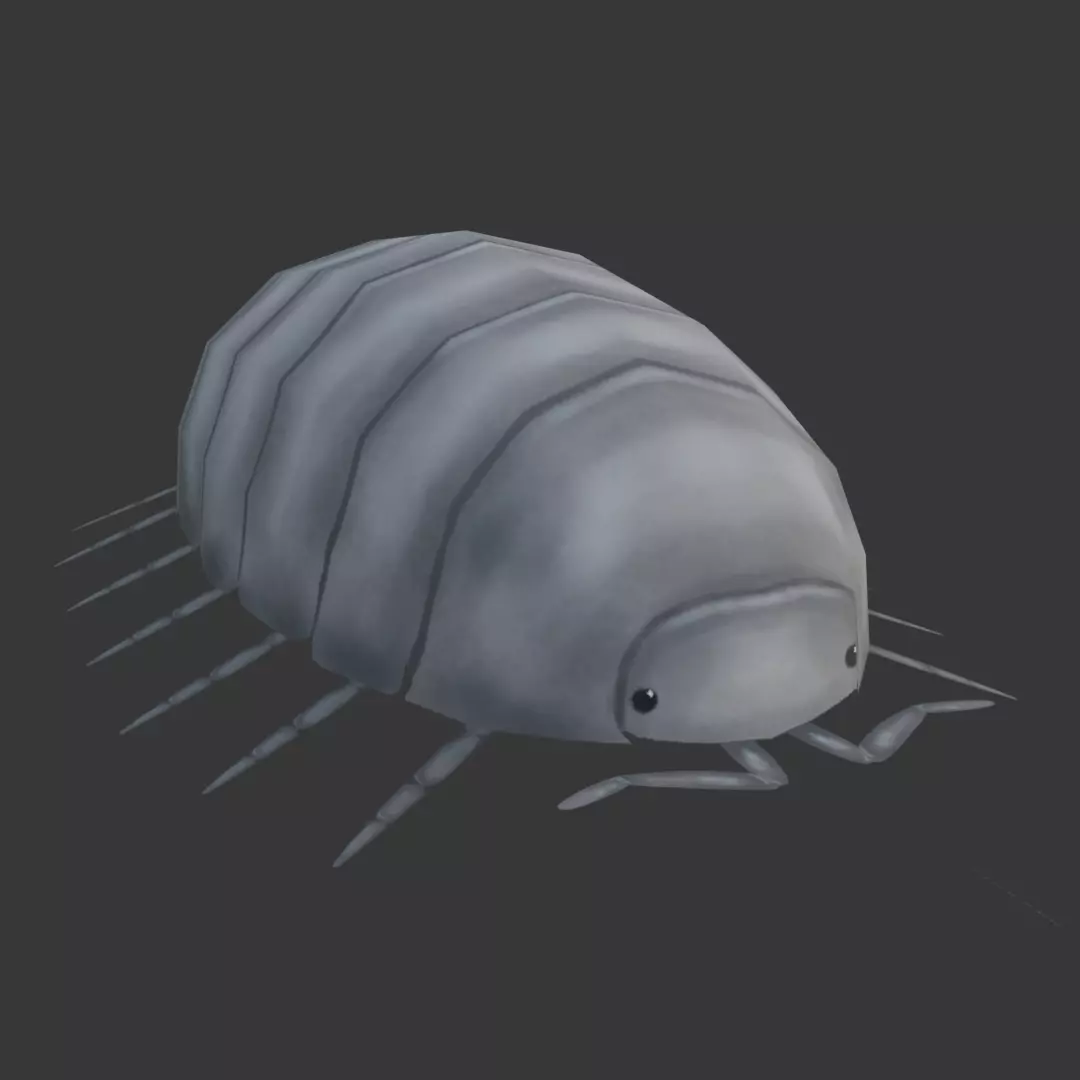 Low Poly Rolly Polly 3D model