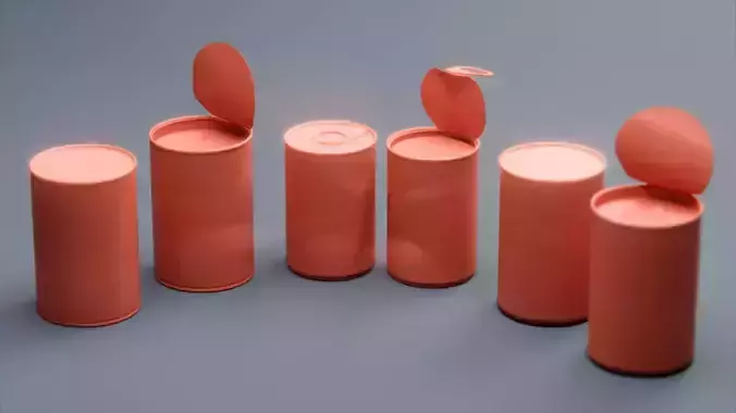 Canned Food - A Low-poly 3D model 5