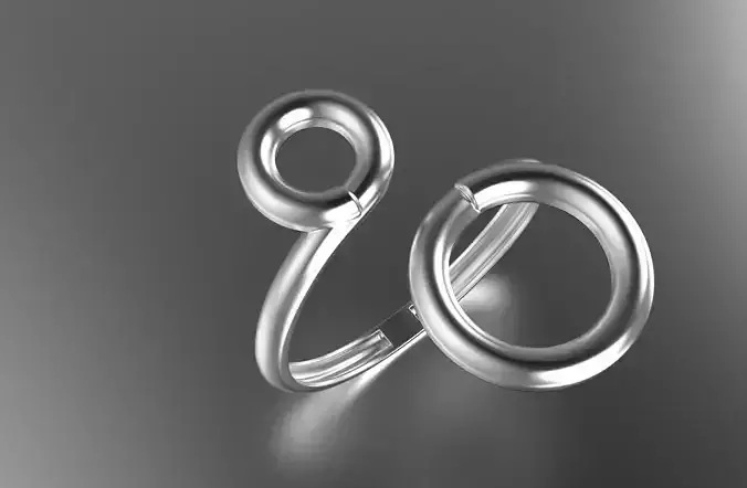 jewelry ring 307