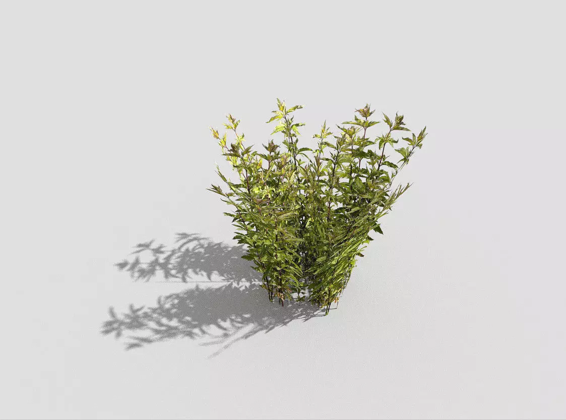 Plant Low-poly 3D model_0