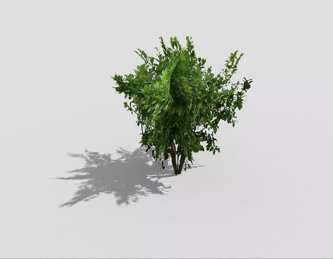 Tree plant Low-poly 3D model_0