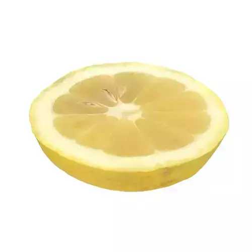 Lemon Slice